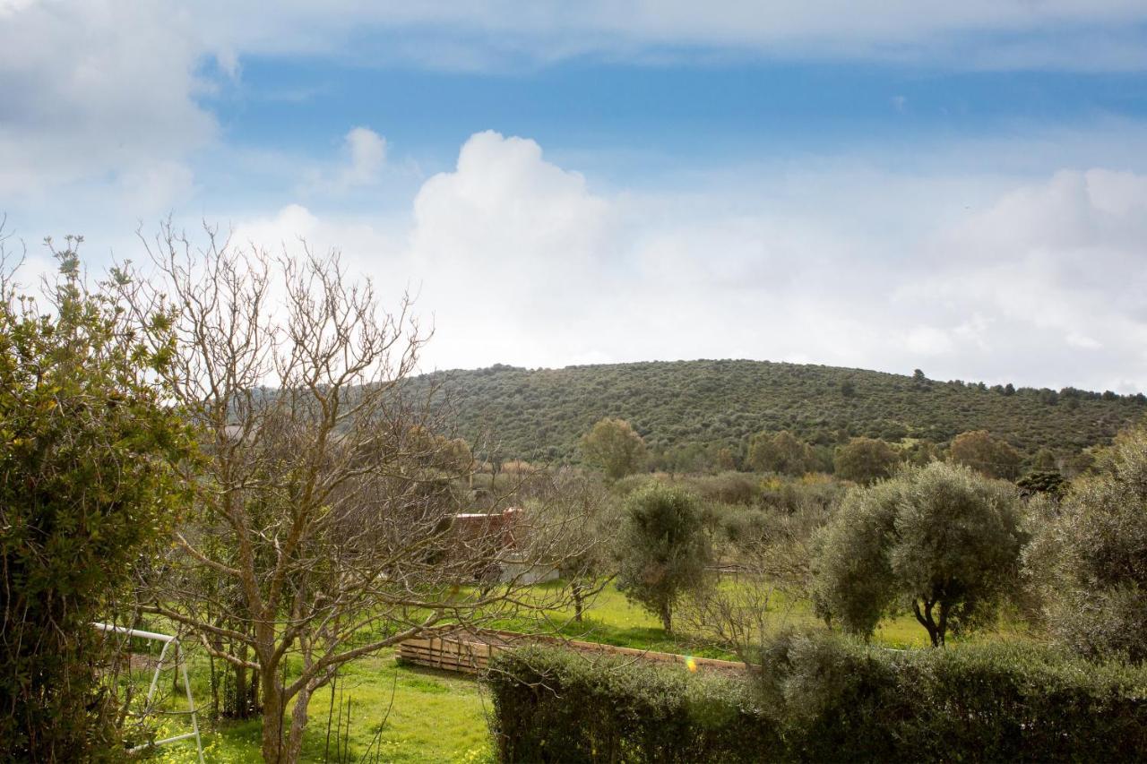 Alghero In Bicicletta Buitenkant foto