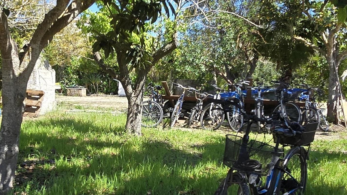 Alghero In Bicicletta Buitenkant foto