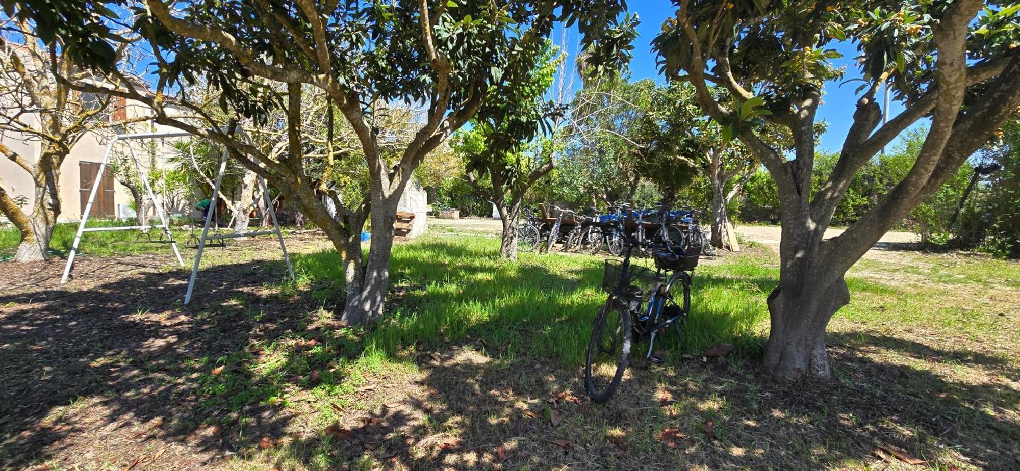 Alghero In Bicicletta Buitenkant foto
